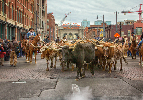 National-Western-Stock-Show-And-Rodeo